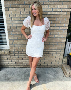 Puff Sleeve Mesh Dress