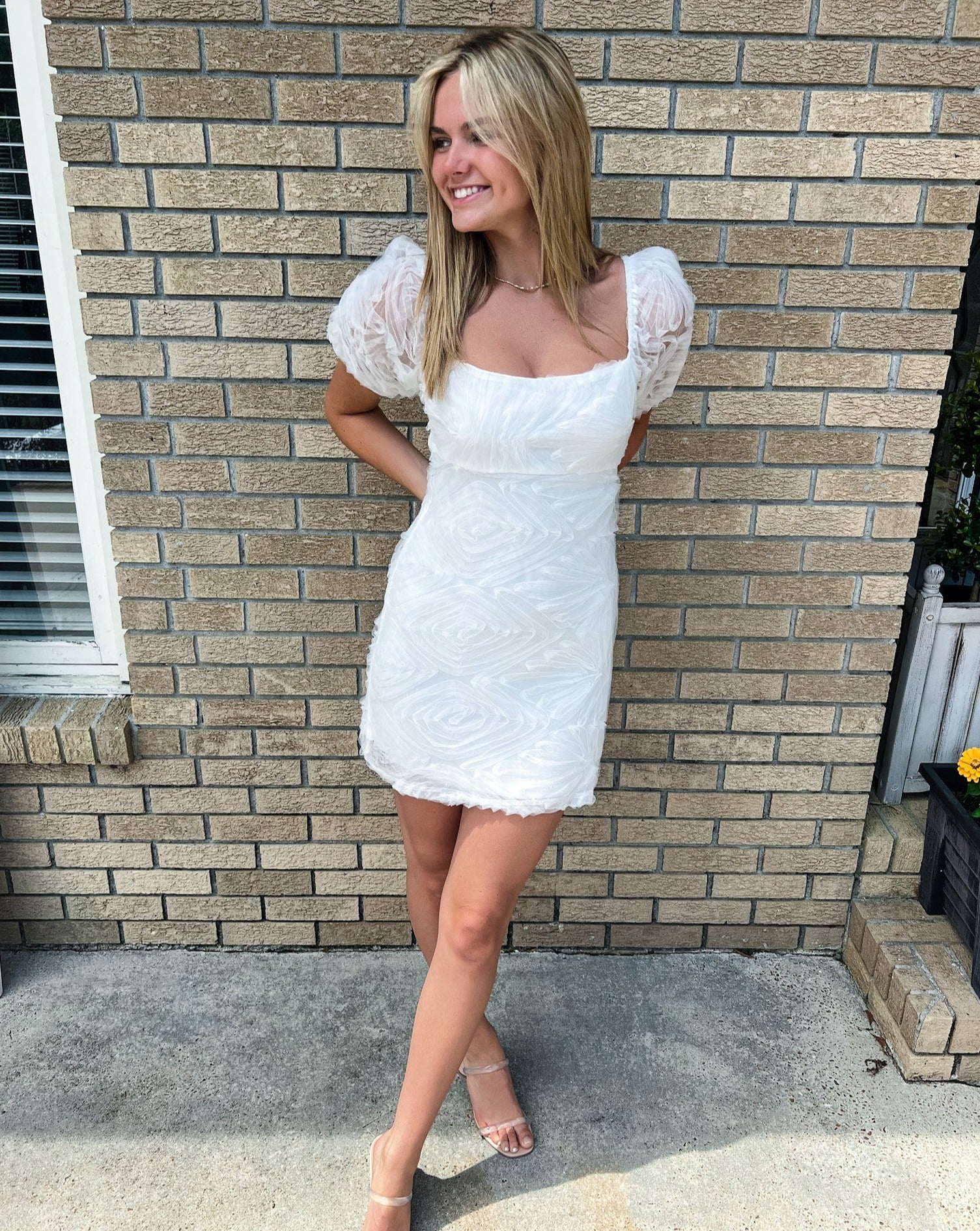 Puff Sleeve Mesh Dress