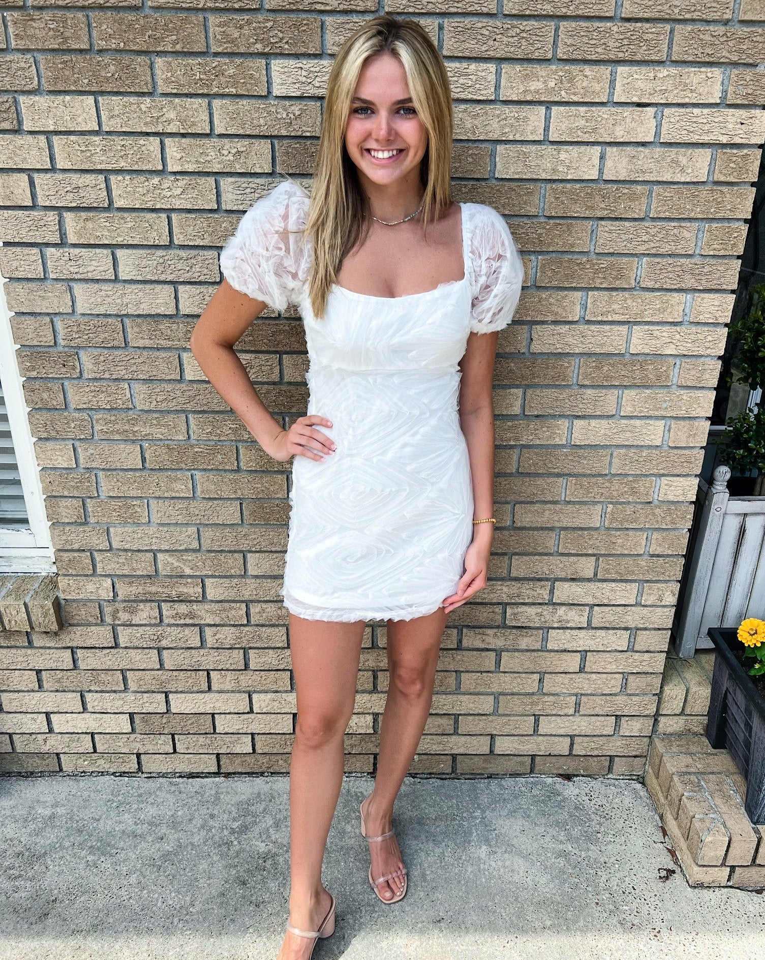 Puff Sleeve Mesh Dress