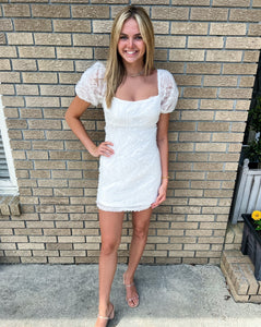 Puff Sleeve Mesh Dress